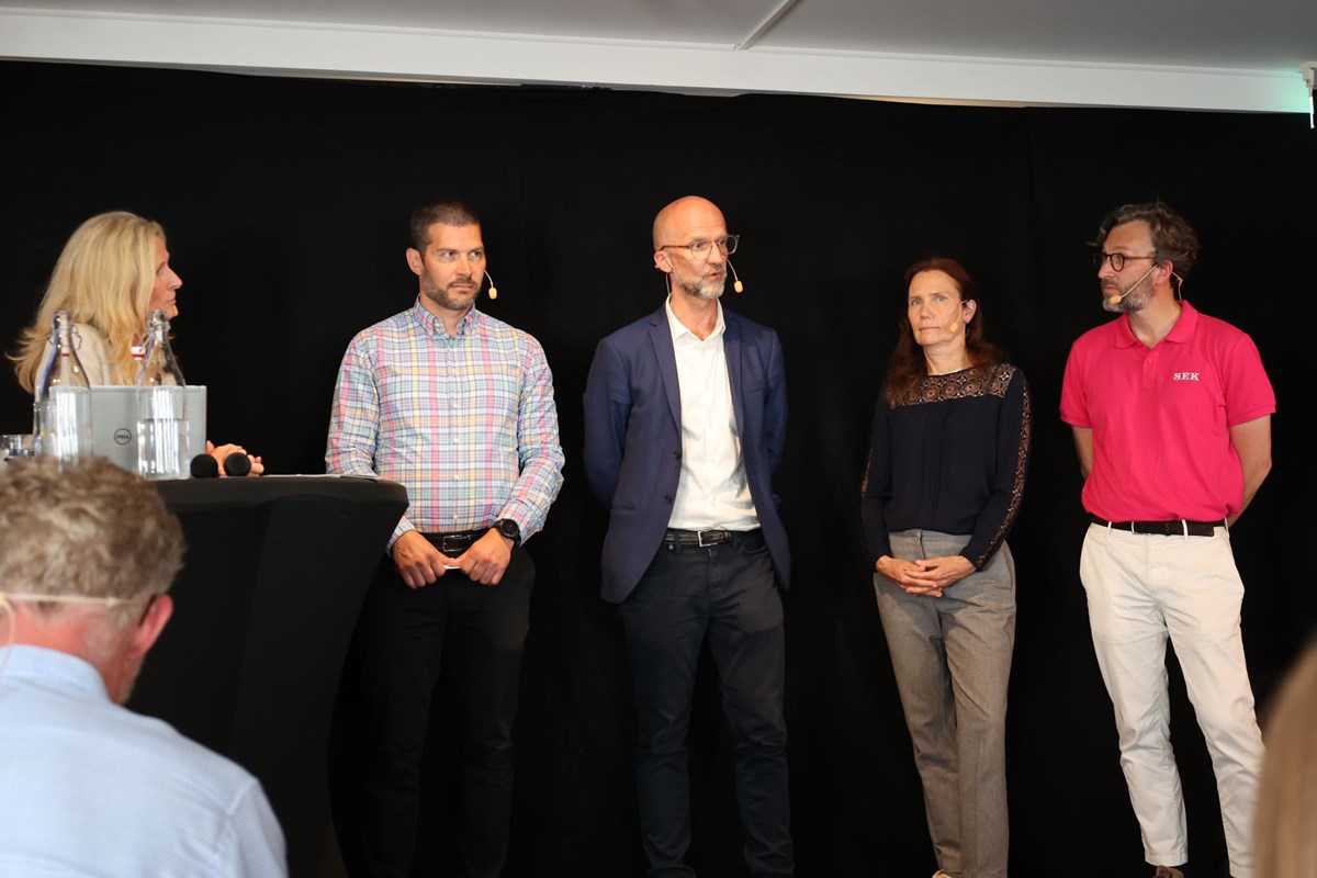 Almedalen 2025 Team Sweden.jpg