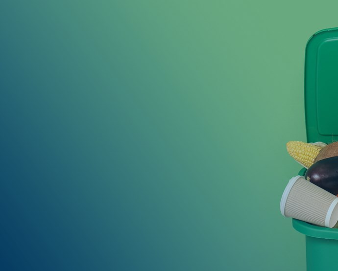 Individuell coachning Klimatlöfte 10 och 11