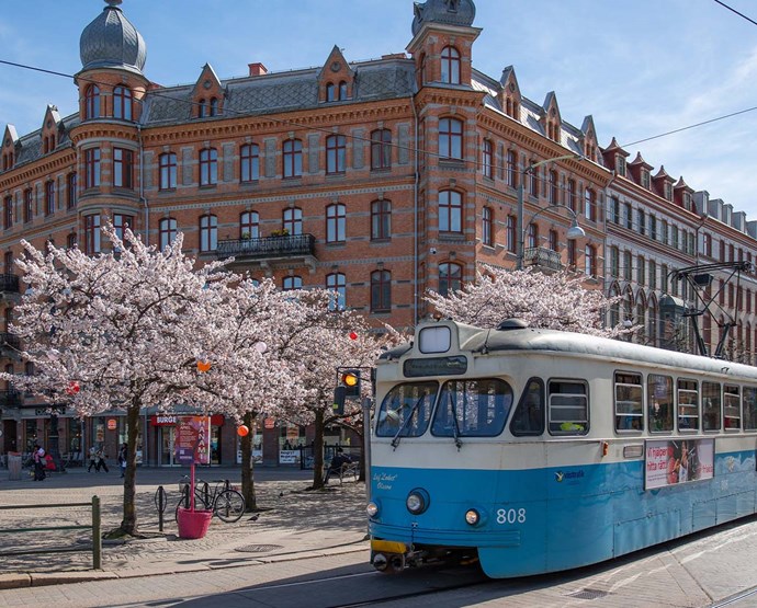 Public Transport and Travel Information