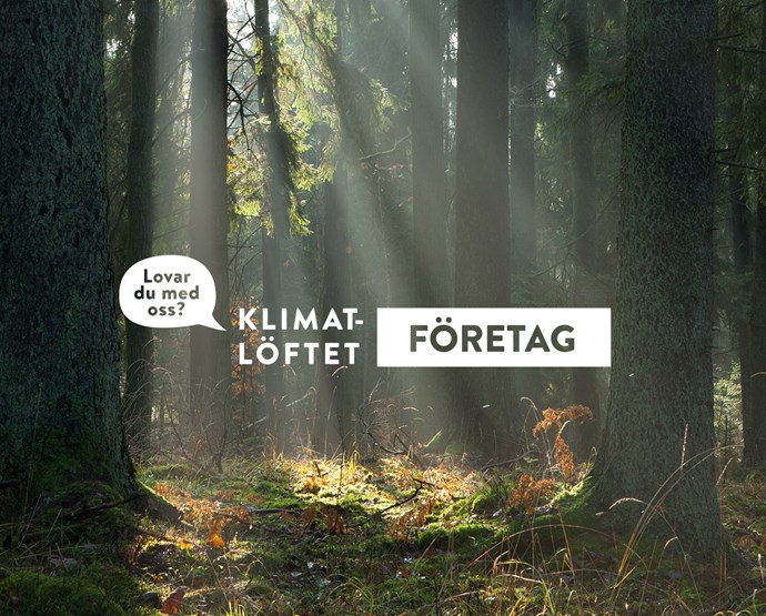 Företag som deltar i Klimatlöftet får stöd att minska klimatpåverkan och skapa affärsnytta genom hållbara åtgärder
