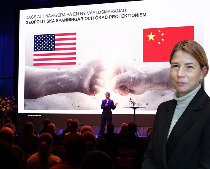 Ekonomin och världsläget – expertens analys