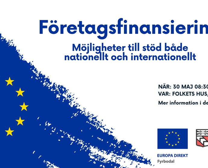 Företagsfinansiering - internationellt och nationellt