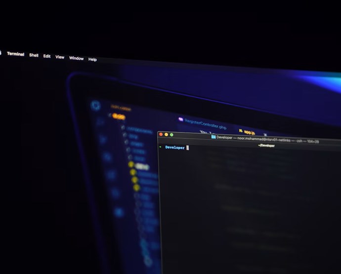 Affärslunch: Tech- och it-bolag ifrån Ukraina och Moldavien