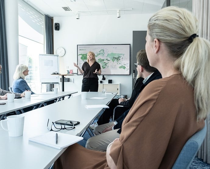 Internationell rådgivning