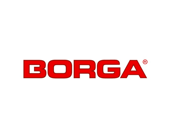 Borga